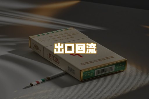 出口回流